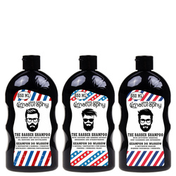 A set of shampoos for men 3x 650ml