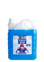 Zimowy płyn do spryskiwaczy -22°C, kanister 2L