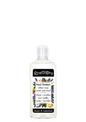 Hand Sanitizer 100 ml