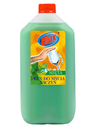 Mint with aloe dishwashing liquid, canister 5L